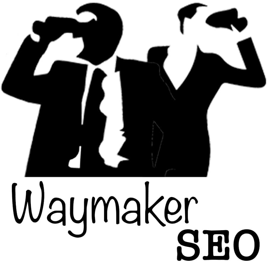 Waymaker SEO Audit & Consulting